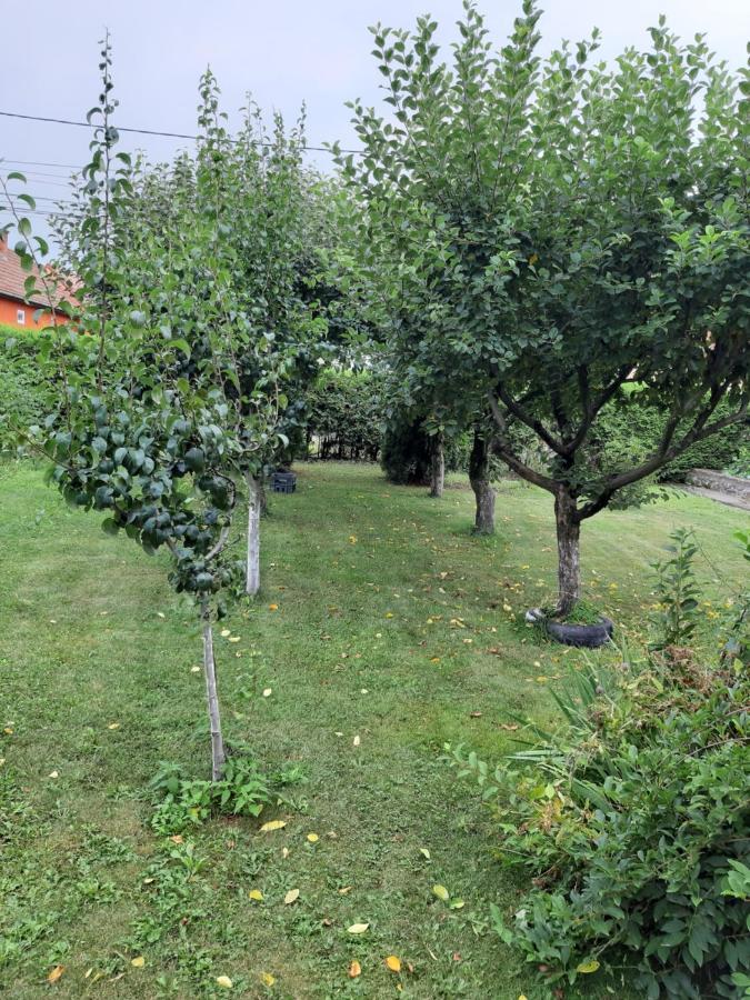 Becze Vanda Kulcsoshaz Lazarea Luaran gambar