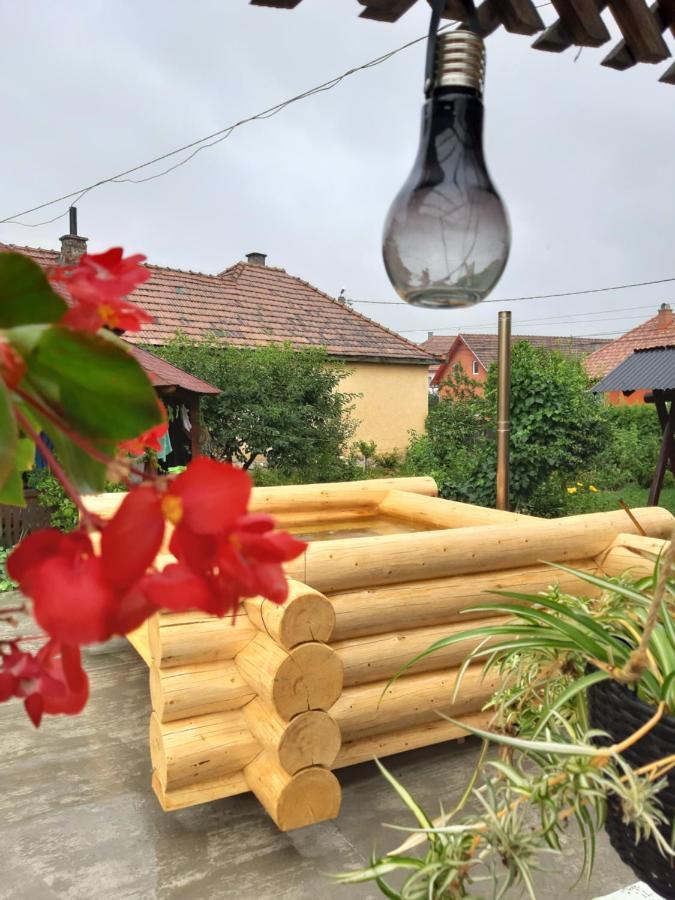 Becze Vanda Kulcsoshaz Lazarea Luaran gambar