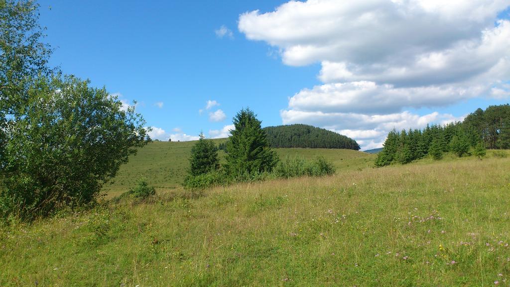 Becze Vanda Kulcsoshaz Lazarea Luaran gambar