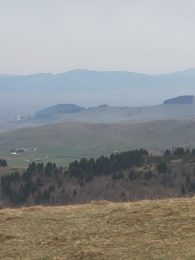 Becze Vanda Kulcsoshaz Lazarea Luaran gambar